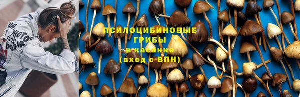 дистиллят марихуана Вязники