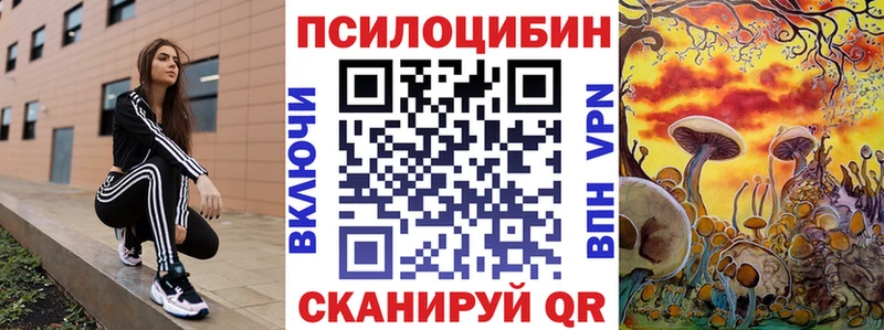 купить наркоту  Касли  Галлюциногенные грибы GOLDEN TEACHER 
